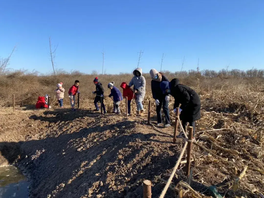 天津朴门永续农场招募合伙人,共建人,农场小主和志愿者