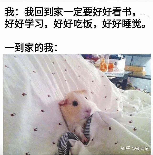 你有什么私藏的MEME图/梗图/迷因图? - 知乎