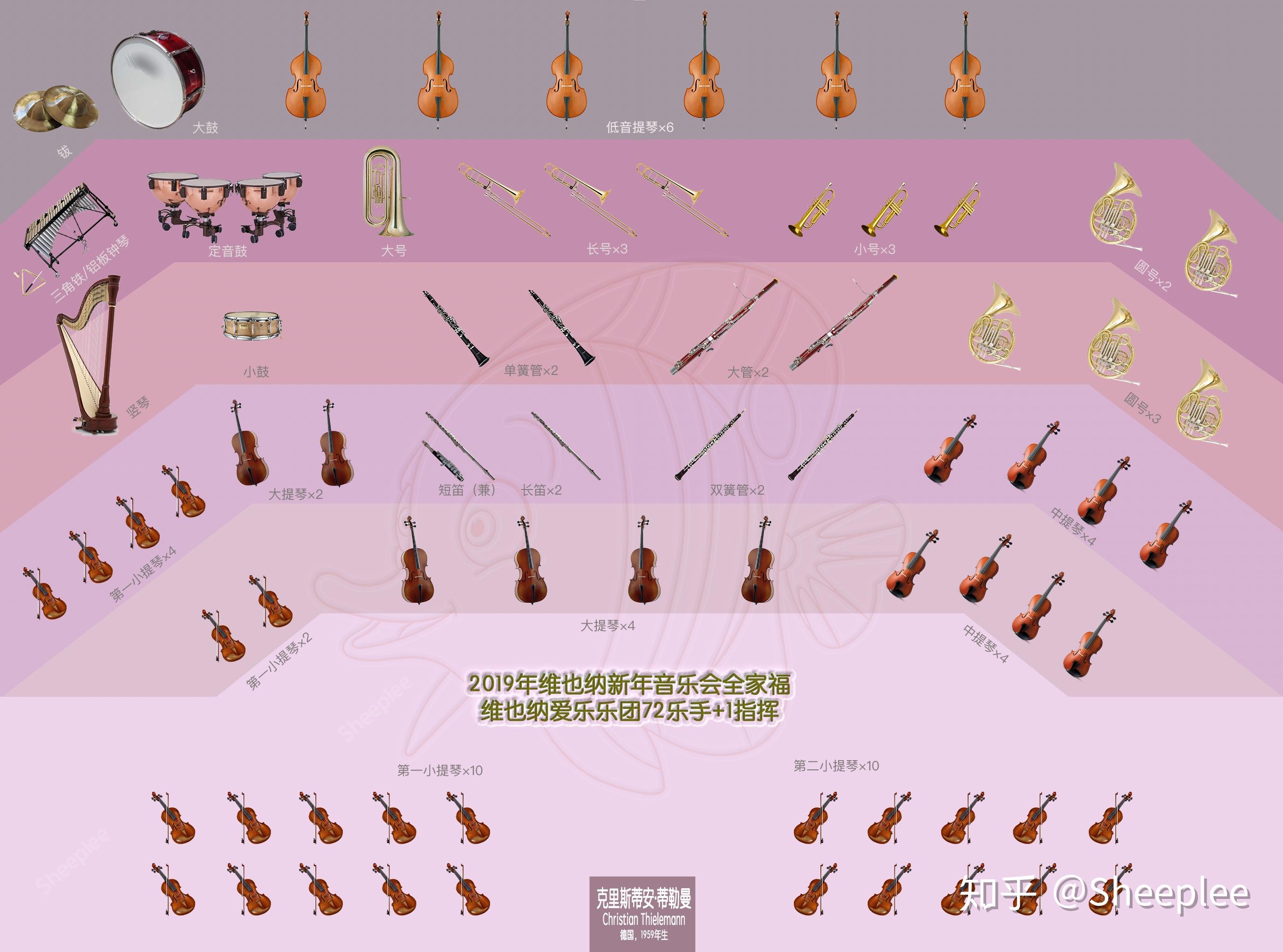 管弦乐队乐器分布图图片