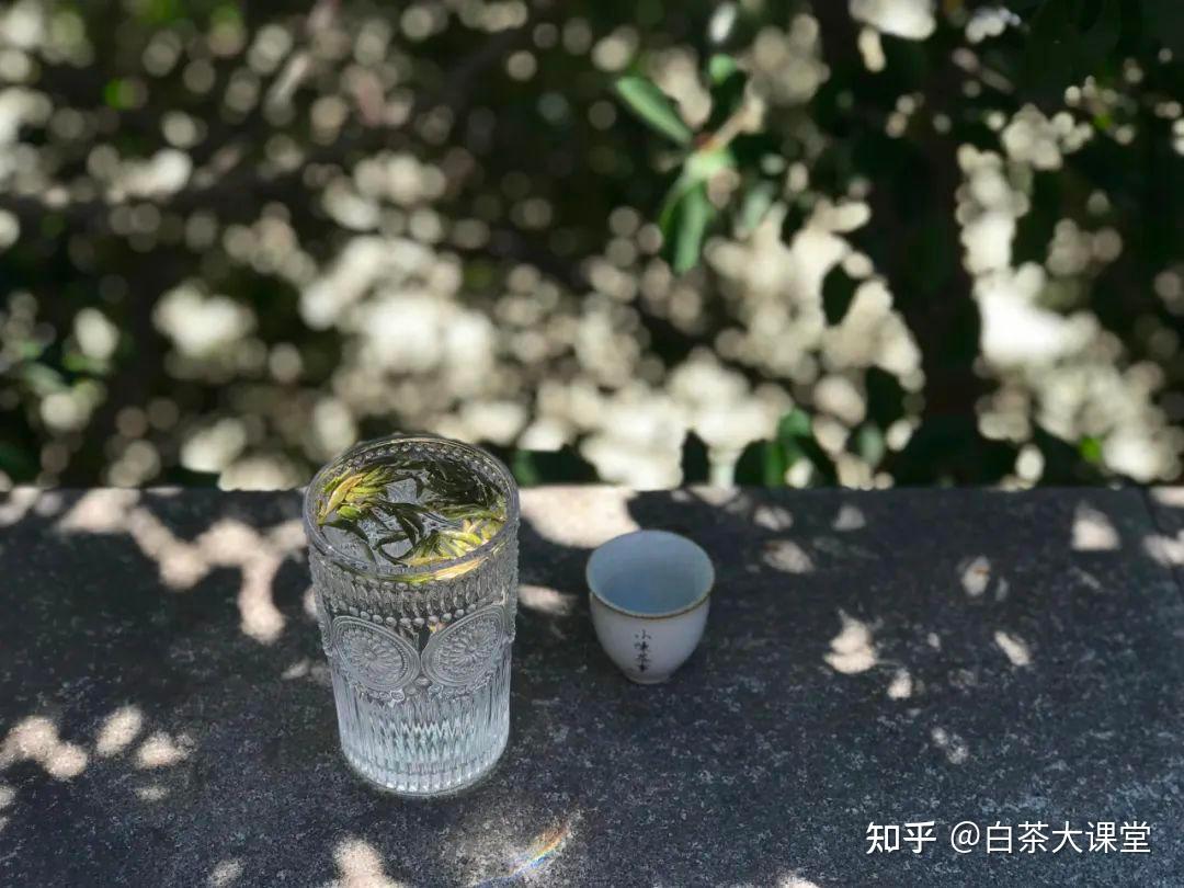 4个方法轻松学会夏日随手泡白茶,实用又简单,玻璃杯也能泡好茶 - 知乎