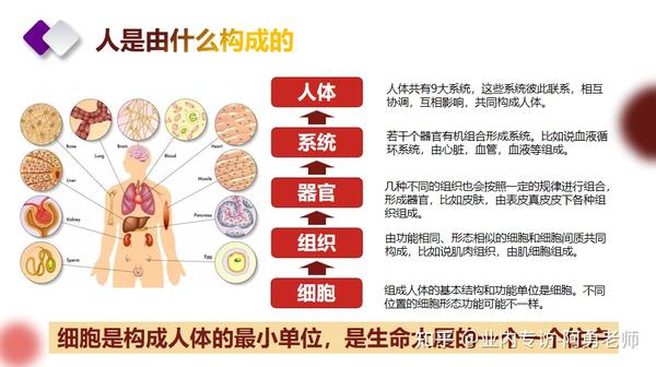 关于气血的全部知识,你是否缺少气血? - 知乎