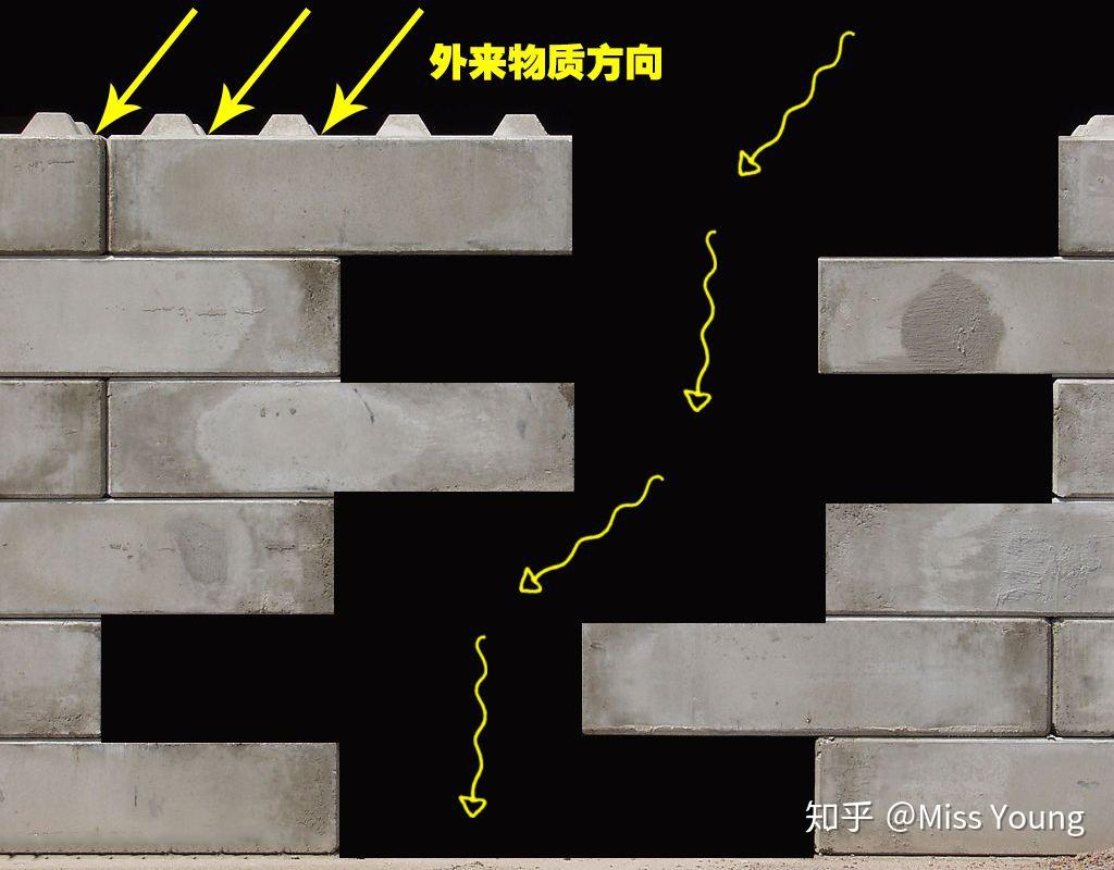 v2-37cded41ed571fd12d4564c95c427b67_r.jpg