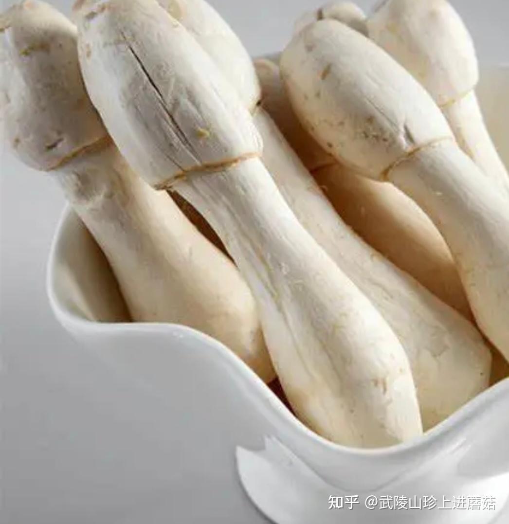 甜椒鸡腿菇怎么做_甜椒鸡腿菇的做法_豆果美食