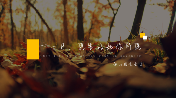 『何策网』2022秋季营销方案-140份