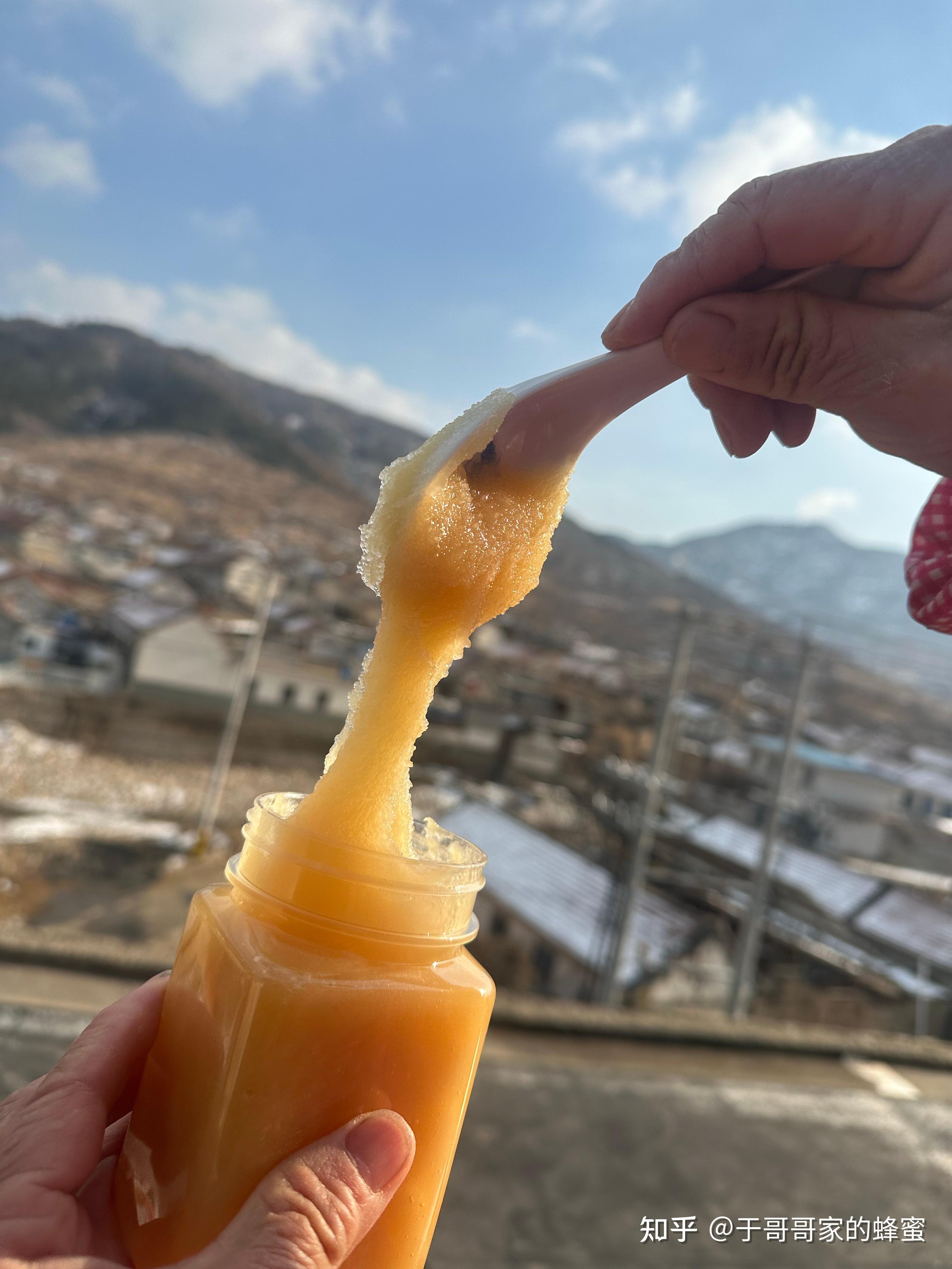 蜂蜜一百一斤贵吗知乎(蜂蜜180元1斤贵不贵)