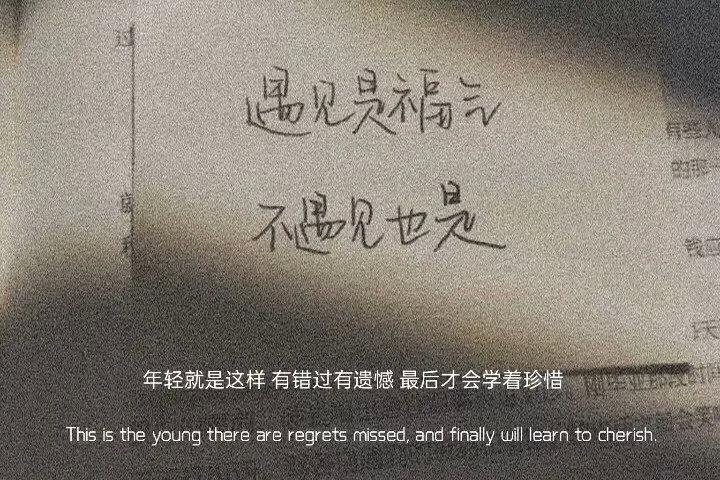 文案丨意难平也得平的句子文案