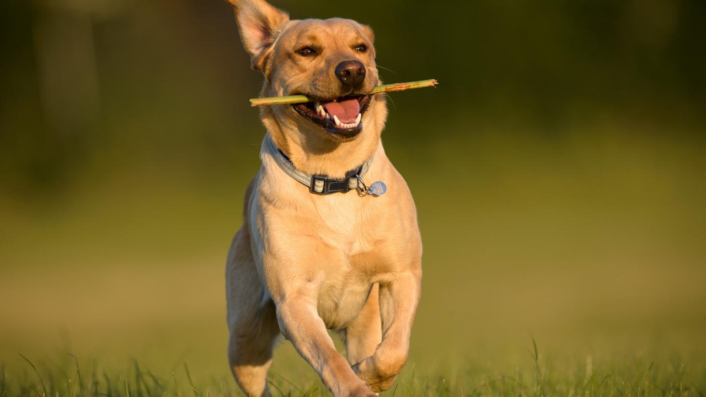 v2-37e28b5d8962348bcb5ea15d8994feac_1440w.jpg?source=172ae18b