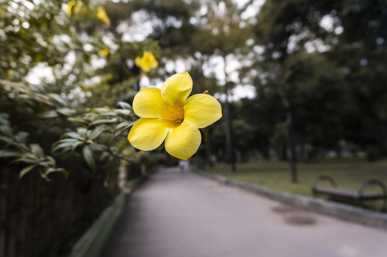 花都有什么地方逛街