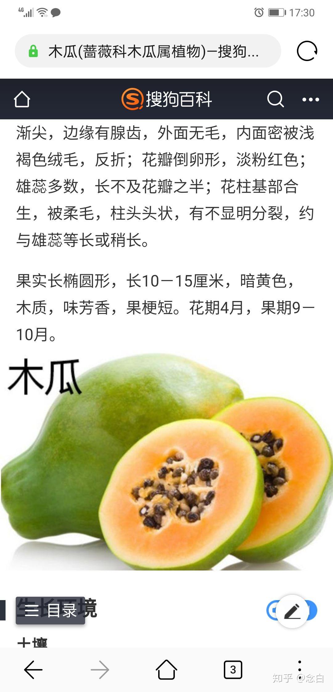 麻烦各位大神看看这是什么果子或者瓜