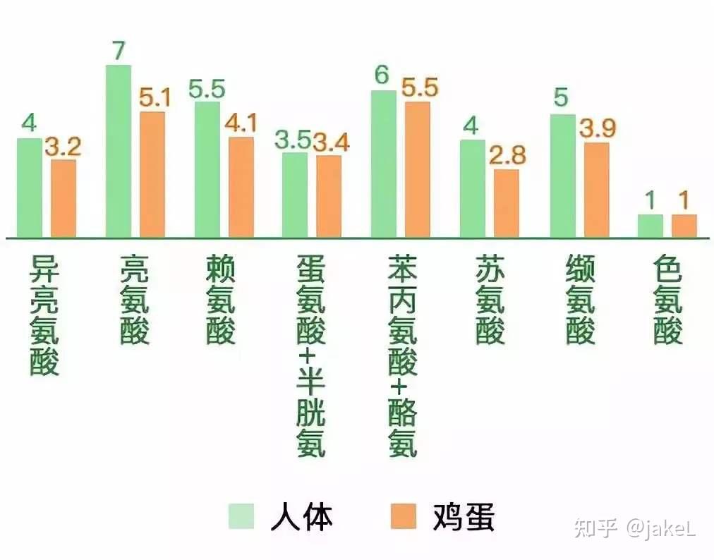 氨基酸模式