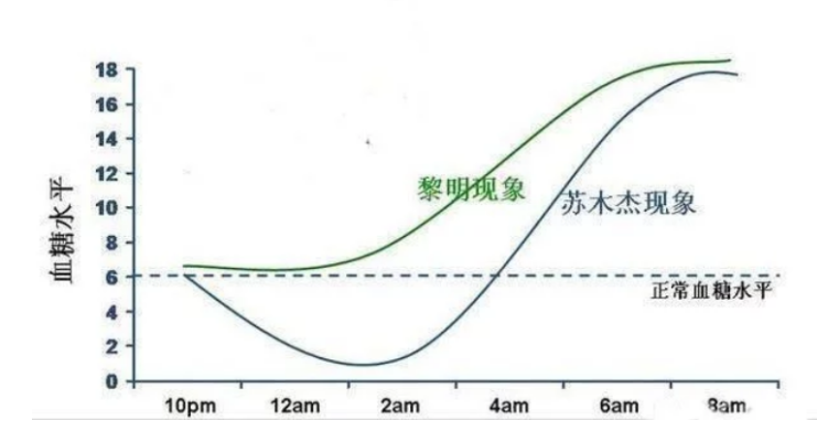 糖仁健康科技为什么早晨血糖高苏木杰和黎明现象的区别