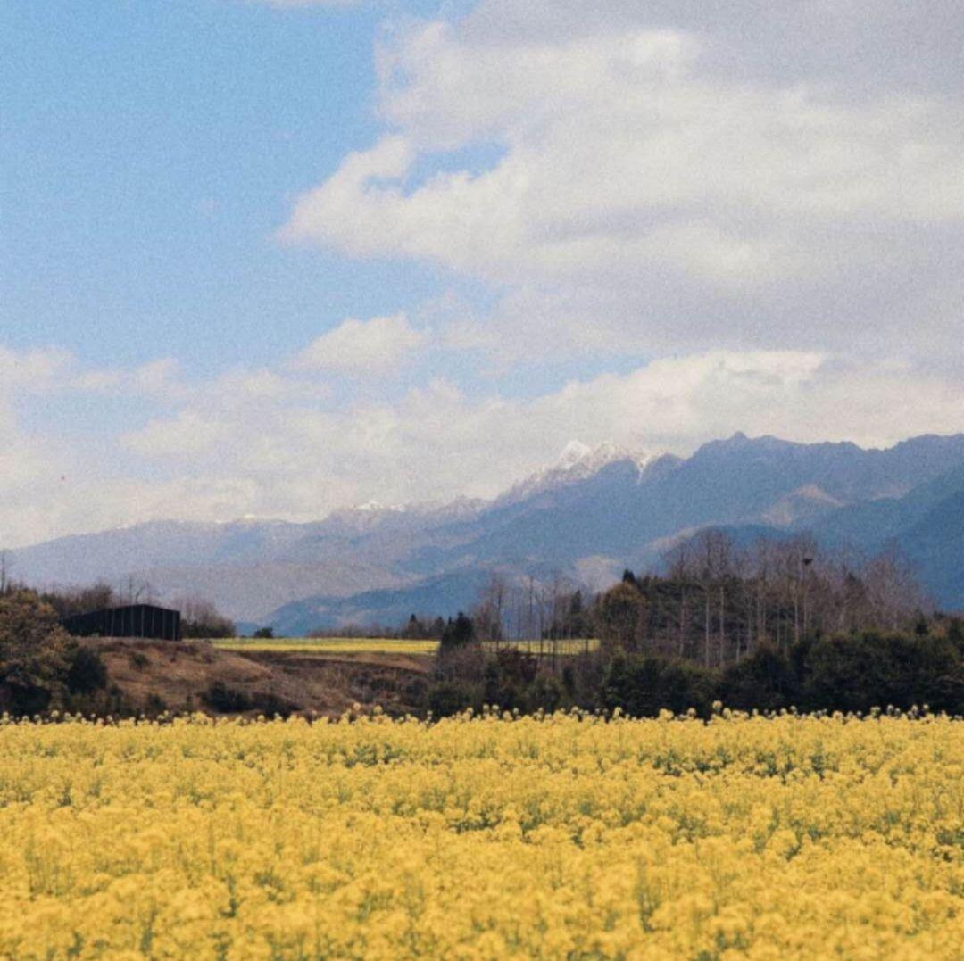 你最喜欢舍不得换的微信壁纸背景图是什么