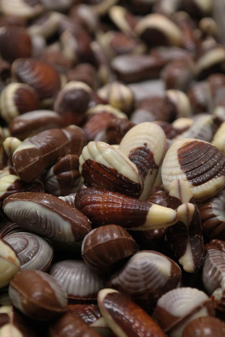 3. 肉食性鱼食推荐