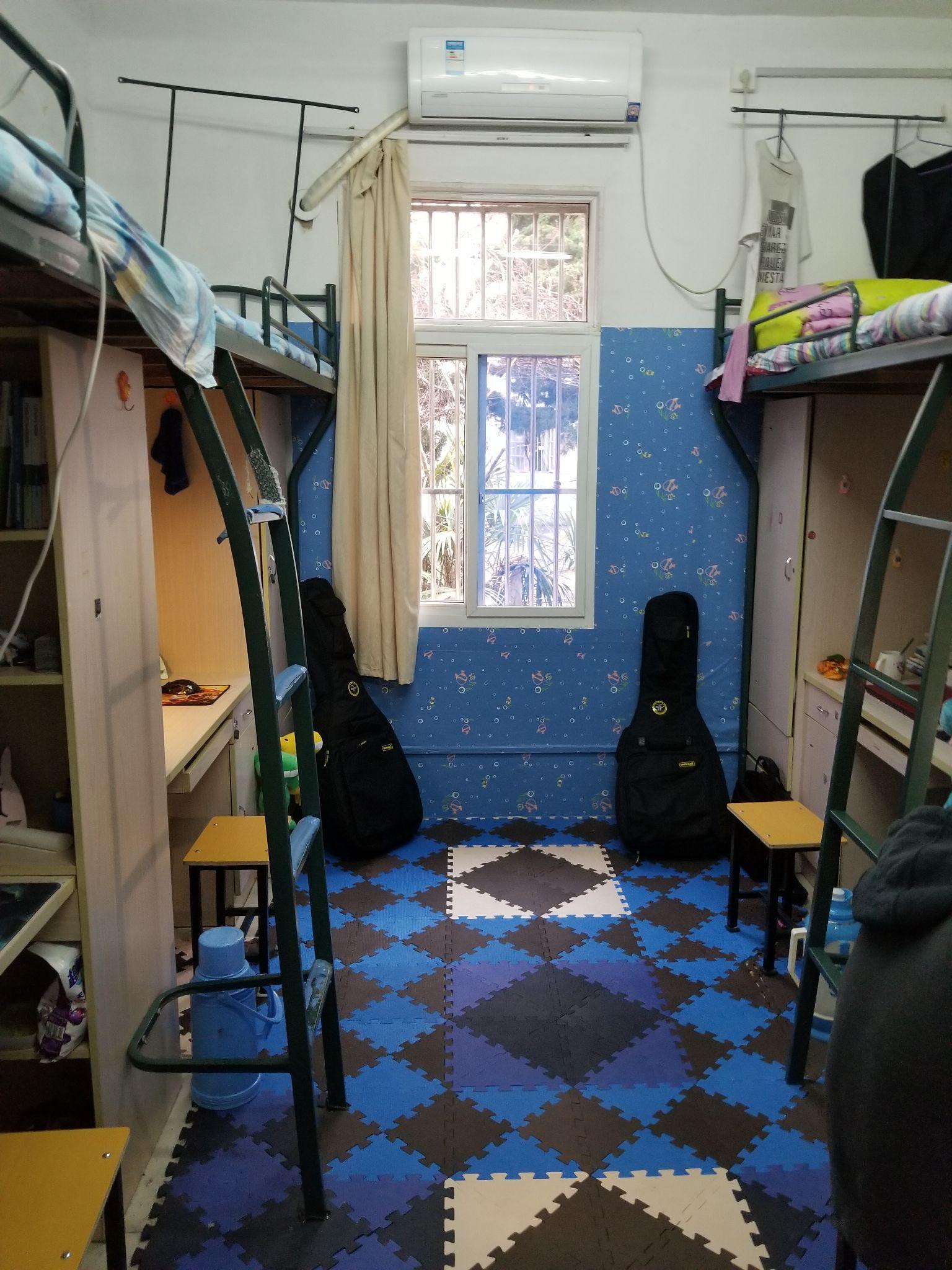 安徽大学女生宿舍图片