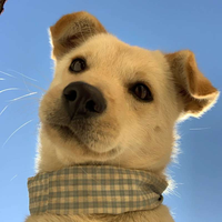 Zhihu profile picture for @s1mble