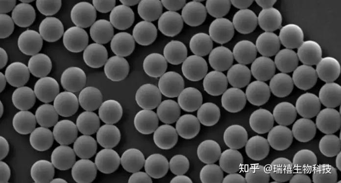 Sio2 微球 PtNPs-SiO2铂纳米粒子负载氨基化二氧化硅微球/二氧化硅/PMMA核-壳纳米微球的制备 - 知乎