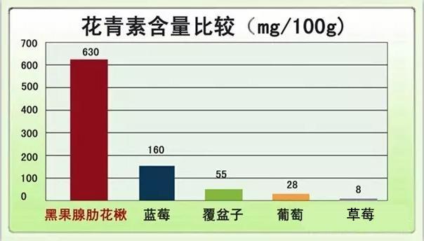 不老莓pk蓝莓营养价值完胜