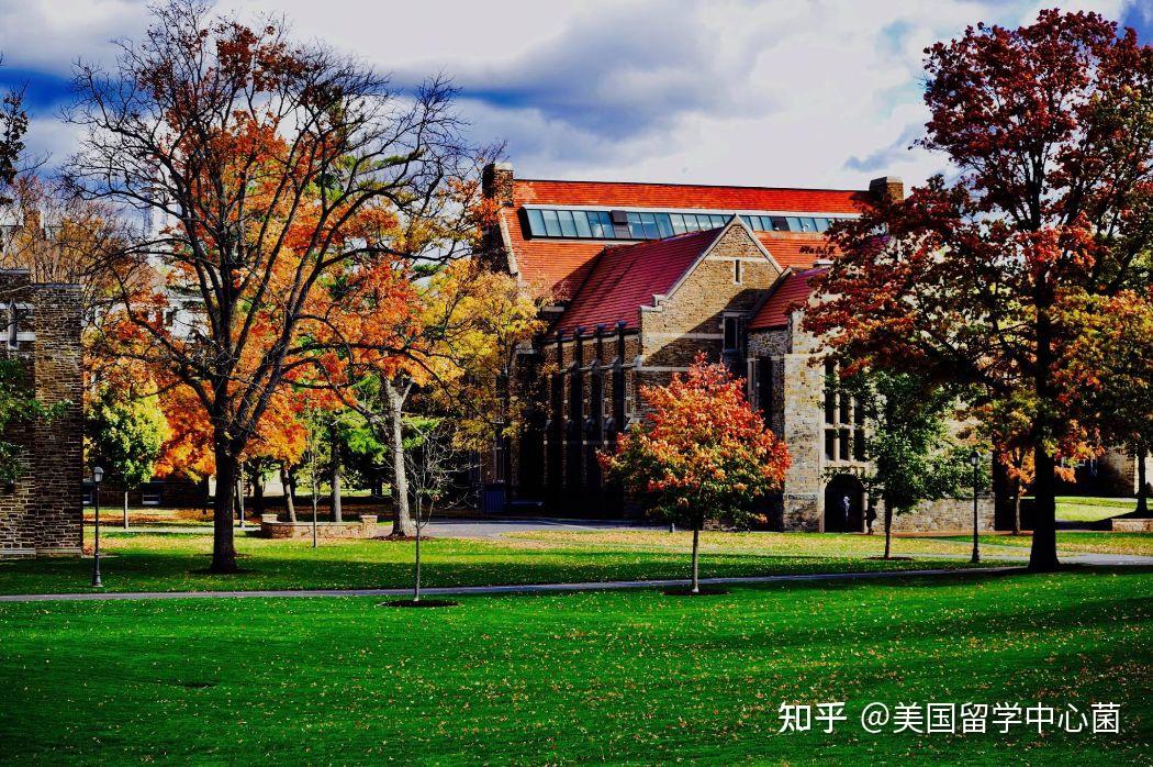 在hamiltoncollege就读是怎样的一番体验