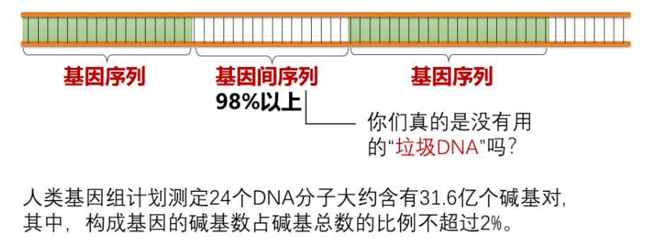 分子生物学整理|基因和DNA笔记(三)基因组 - 知乎