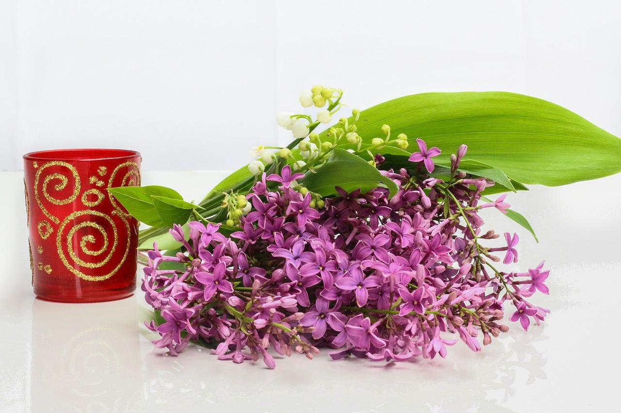 4. 价格优势分析