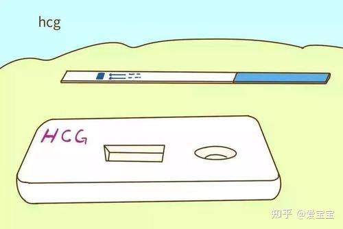 为什么会生化妊娠,生化妊娠后需要注意什么? - 知乎