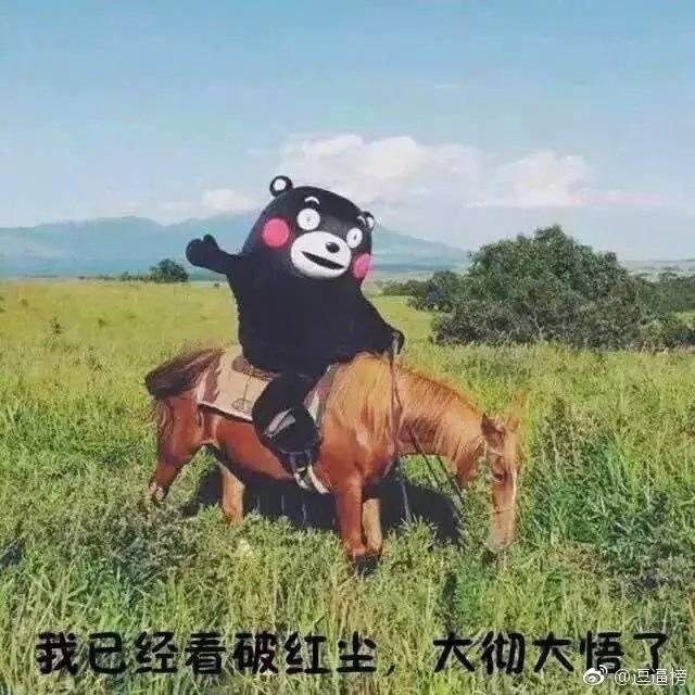 v2-38596d7f3450d1e2e828f45814c4b2f5_r.jpg