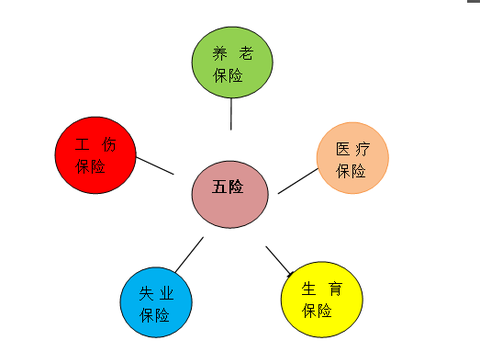 为什么应届生的身份这么值钱? 