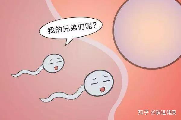 【警惕】新冠感染可能降低男性生育力,准爸爸们该注意什么?