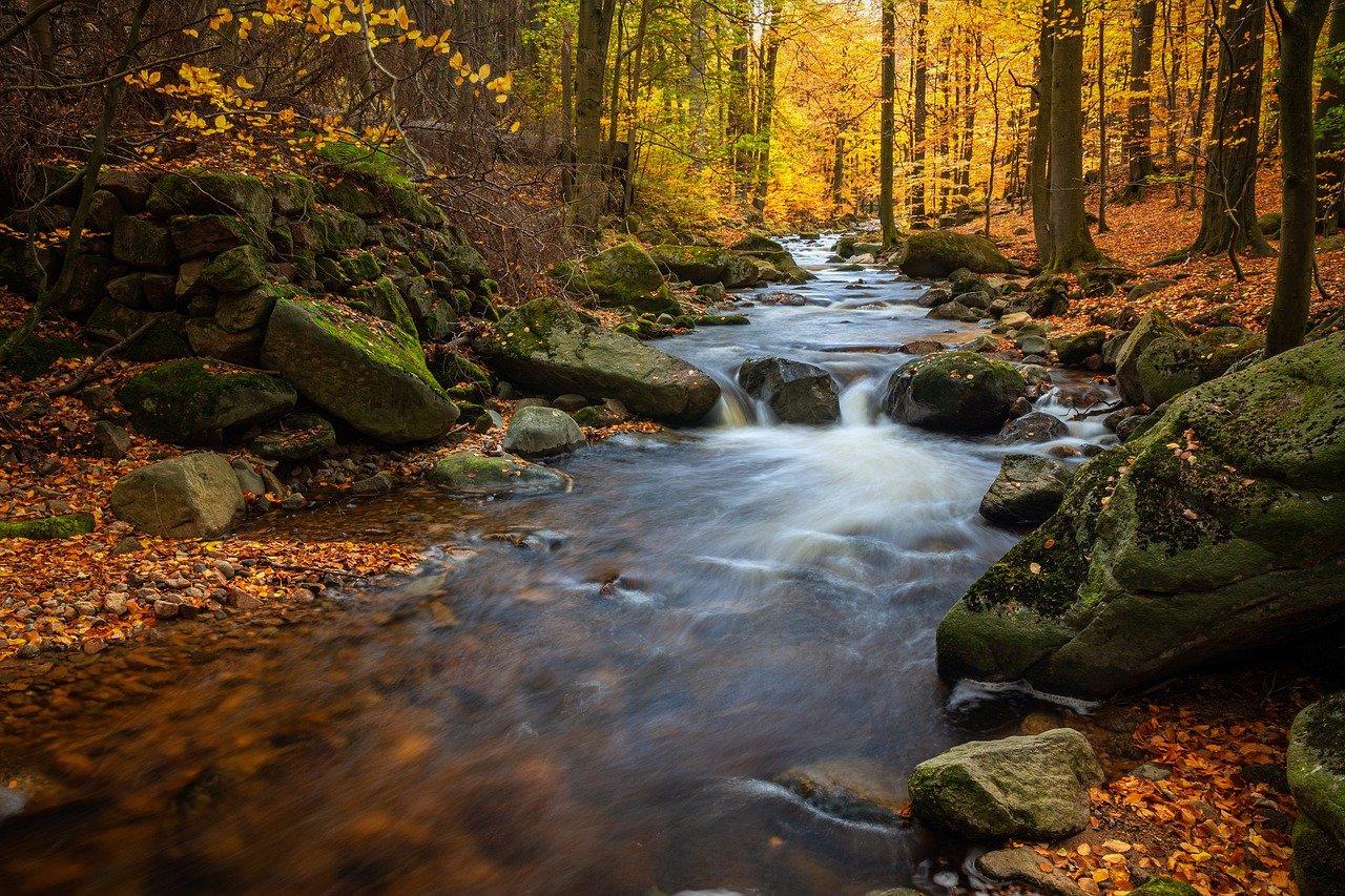3. 凤溪周边配套