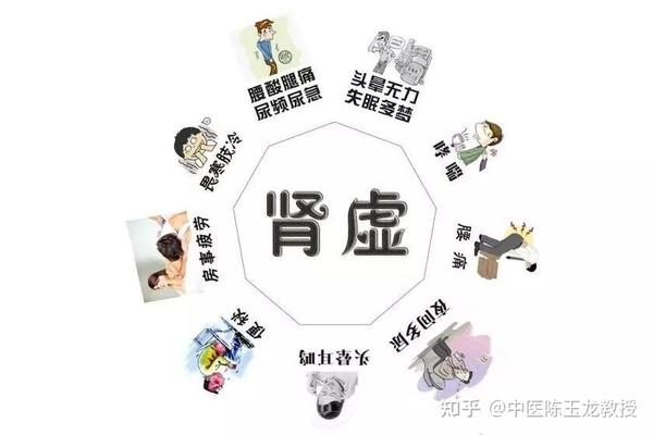 肾虚到底是哪虚?肾精亏、肾气亏、肾阴虚、肾阳虚?一文教你辨明 - 知乎