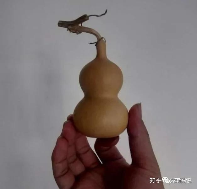 文玩葫芦怎么盘红的快告诉你葫芦变红秘密让你的葫芦快速包浆