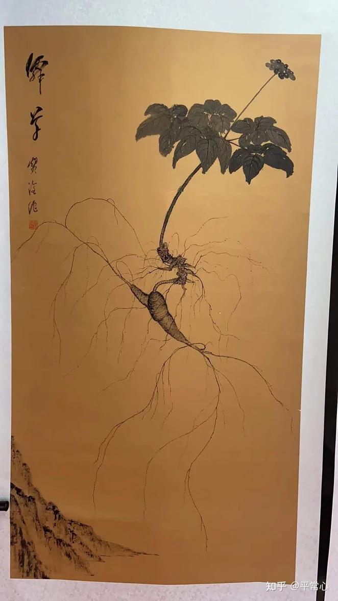 野生人参纯度鉴别