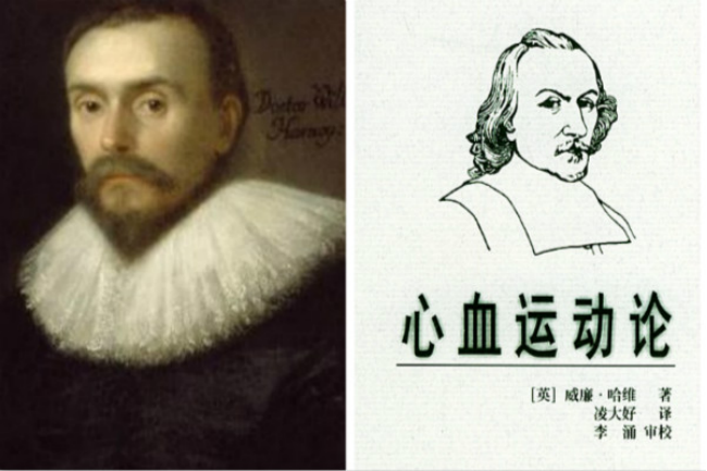 生理8血之循环哈维的血液循环学说