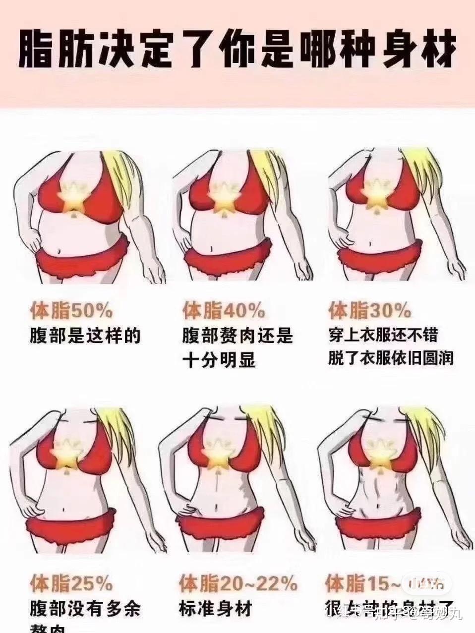 体脂率15的女生图片图片