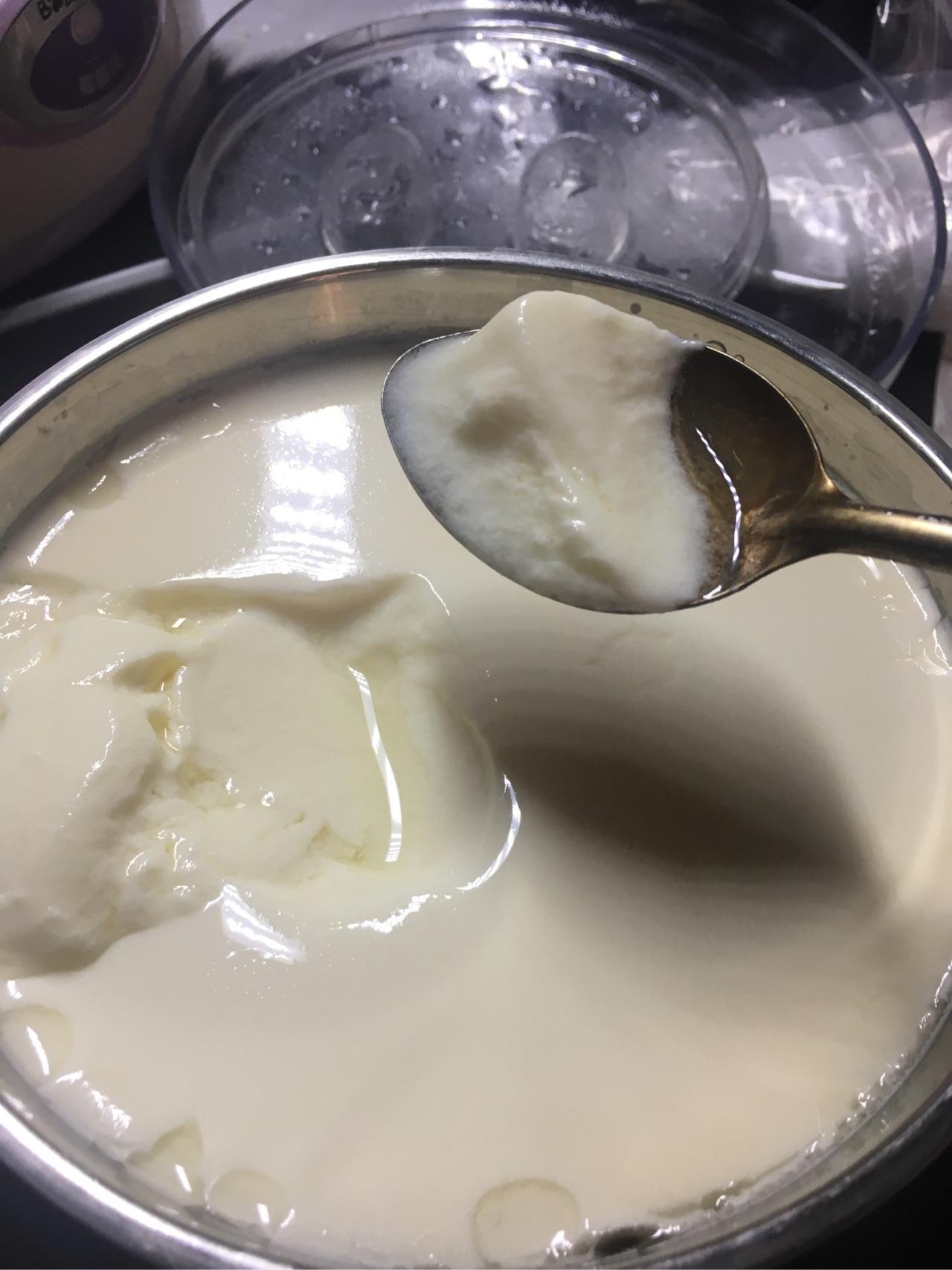 果粒酸奶怎么做_果粒酸奶的做法_豆果美食
