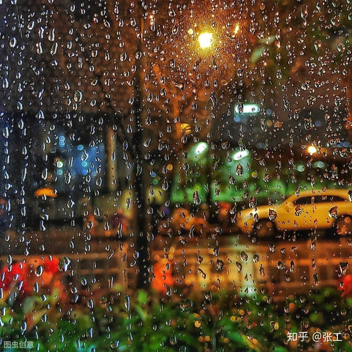 夜晚秋雨的图片图片