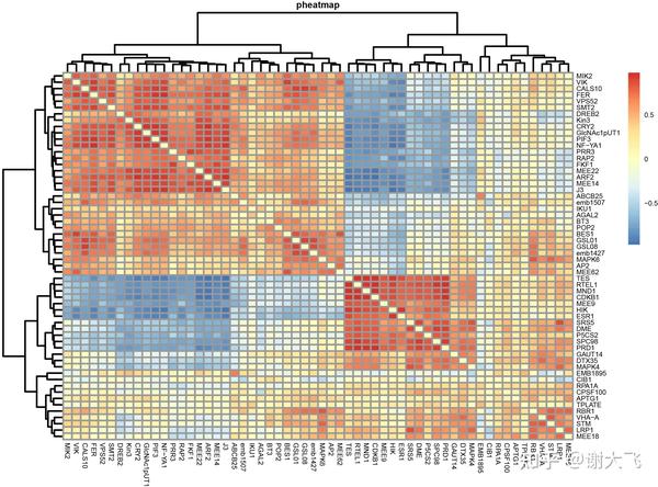 转录组分析流程 - 知乎