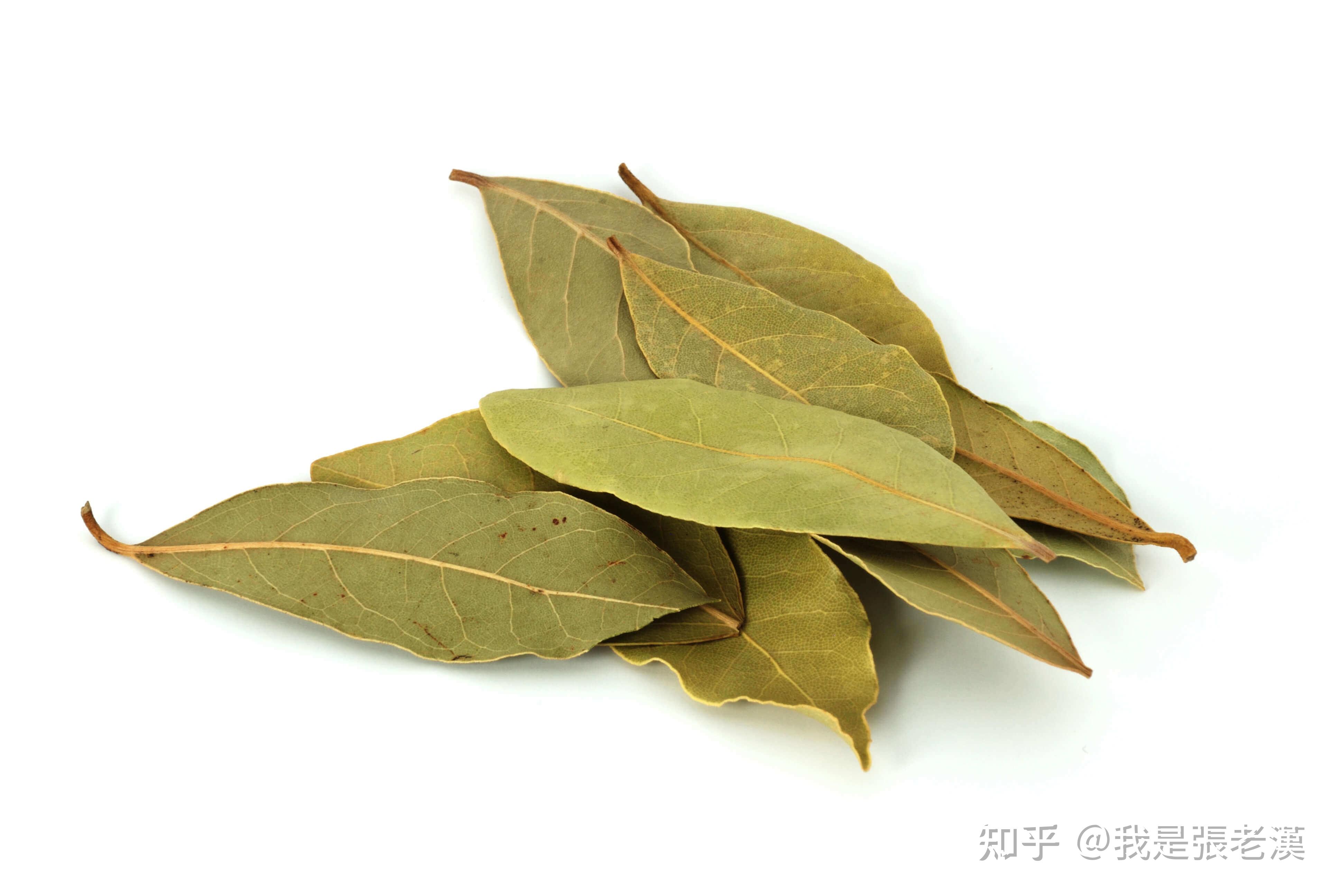 食精味雅-《意大利的美食与香料》 - 知乎