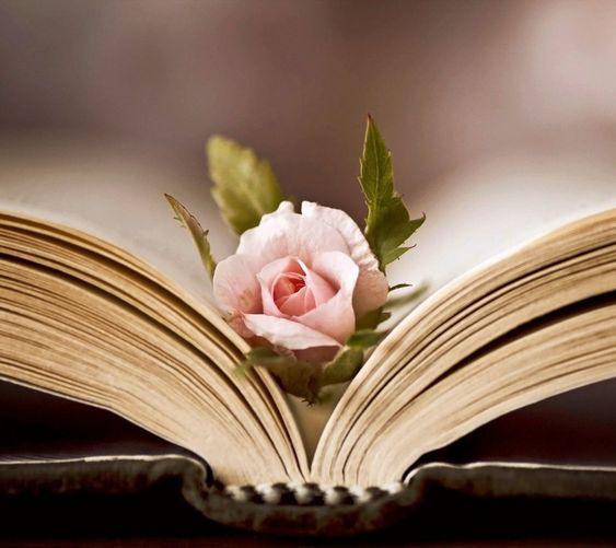 v2-38cacb30119b47483f416ec668a50257_1440w.jpg?source=172ae18b