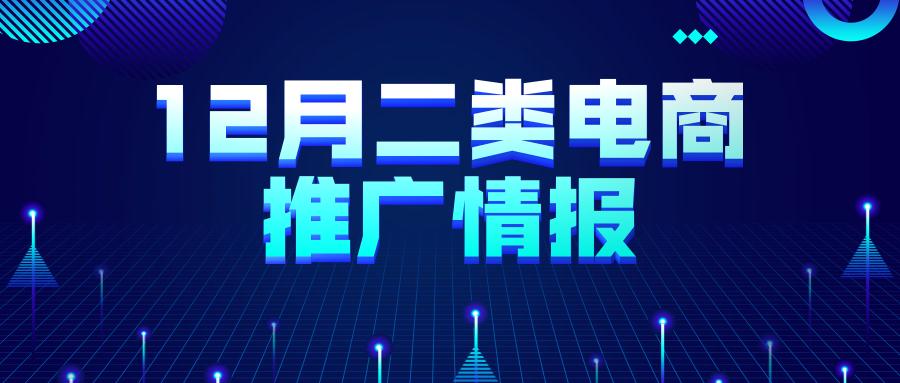 12月二类电商推广情报分析