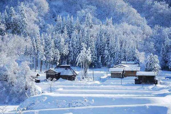 驹子无归处,叶子存离殇!《雪国》是否能等来春天! - 知乎