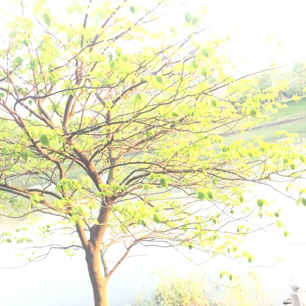 如何将照片变歪orz