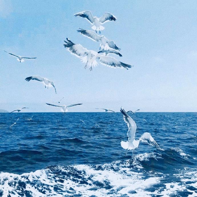 有没有适合男生用的微信头像