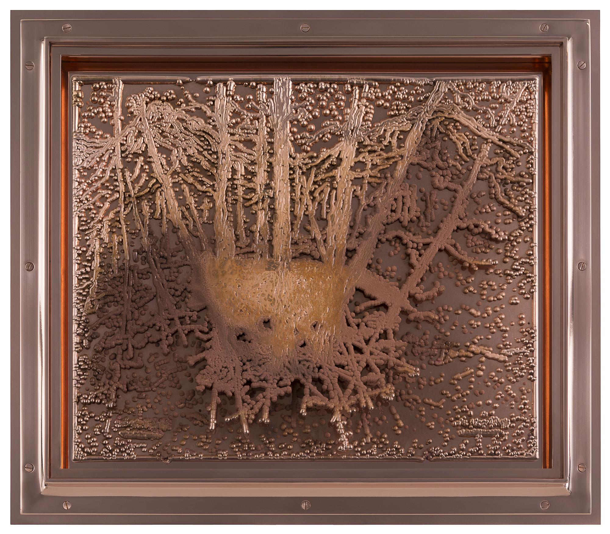 马修巴尼的堡垒到底讲了个什么故事