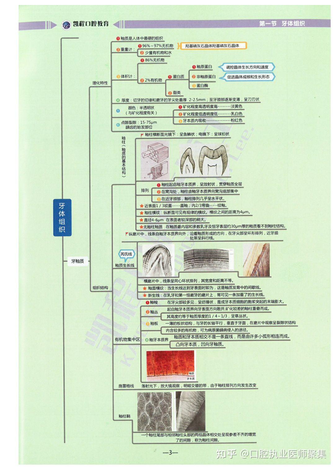 2022口腔执业助理医师口腔思维导图凯程教育全网独一份思维导图天花板