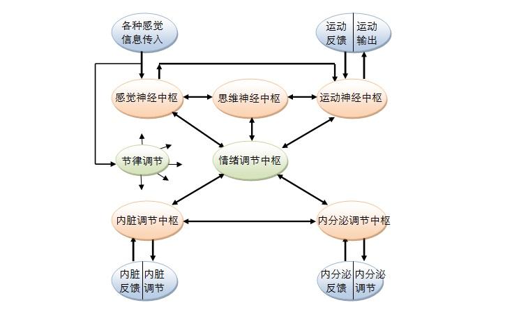 人脑工作机制 00 目录 知乎 人脑工作机制 00 目录 知乎