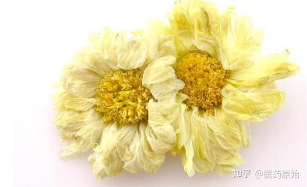 带你识别菊花 - 知乎