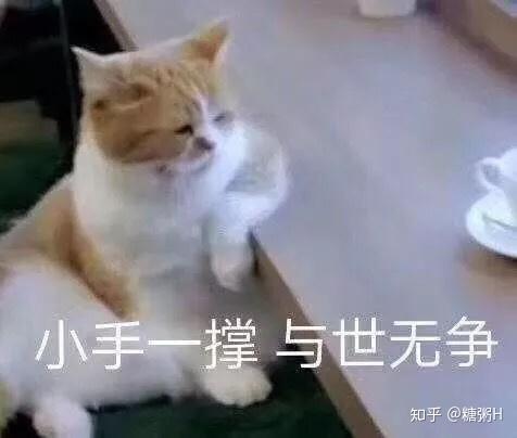 v2-38eb1b0fb34a7ae80c56531326bcde18_r.jpg