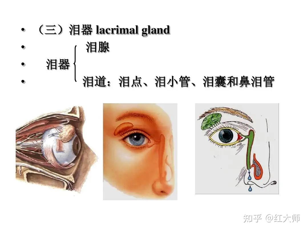 鼻腔泪囊吻合术-眼科常见问题-深圳市眼科医院