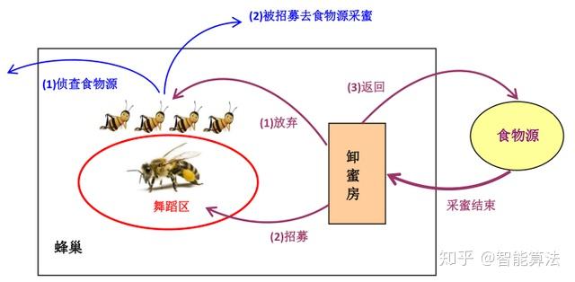 蜜蜂具有群智能应必备的两个条件:自组织性和分工合作性